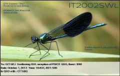 IT2002SWL (2)